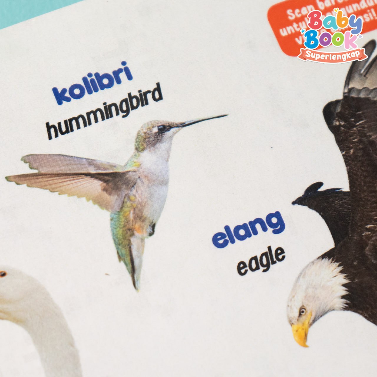 Baby Book Superlengkap